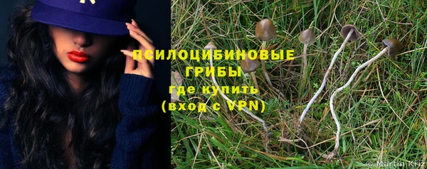 дмт Алексин