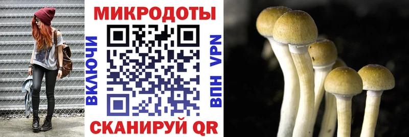 блэк спрут онион  купить   Кулебаки  Галлюциногенные грибы ЛСД 